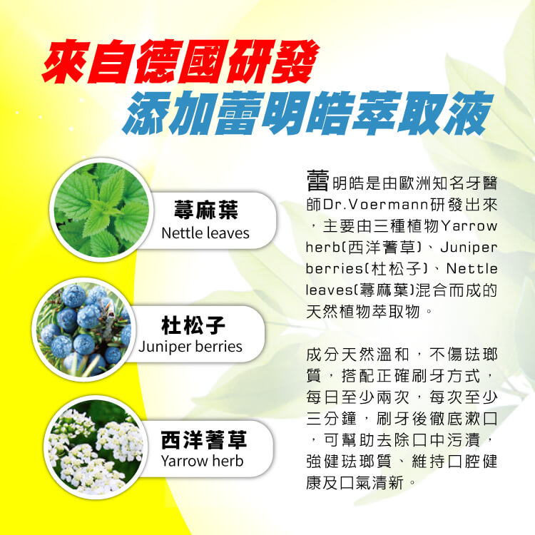 【白人】蘆的皓牙膏牙刷組160g (天然椒樣薄荷)