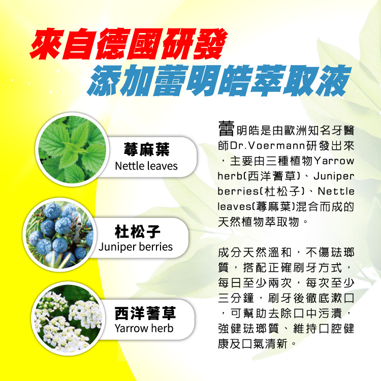 【白人】蘆的皓牙膏牙刷組160g