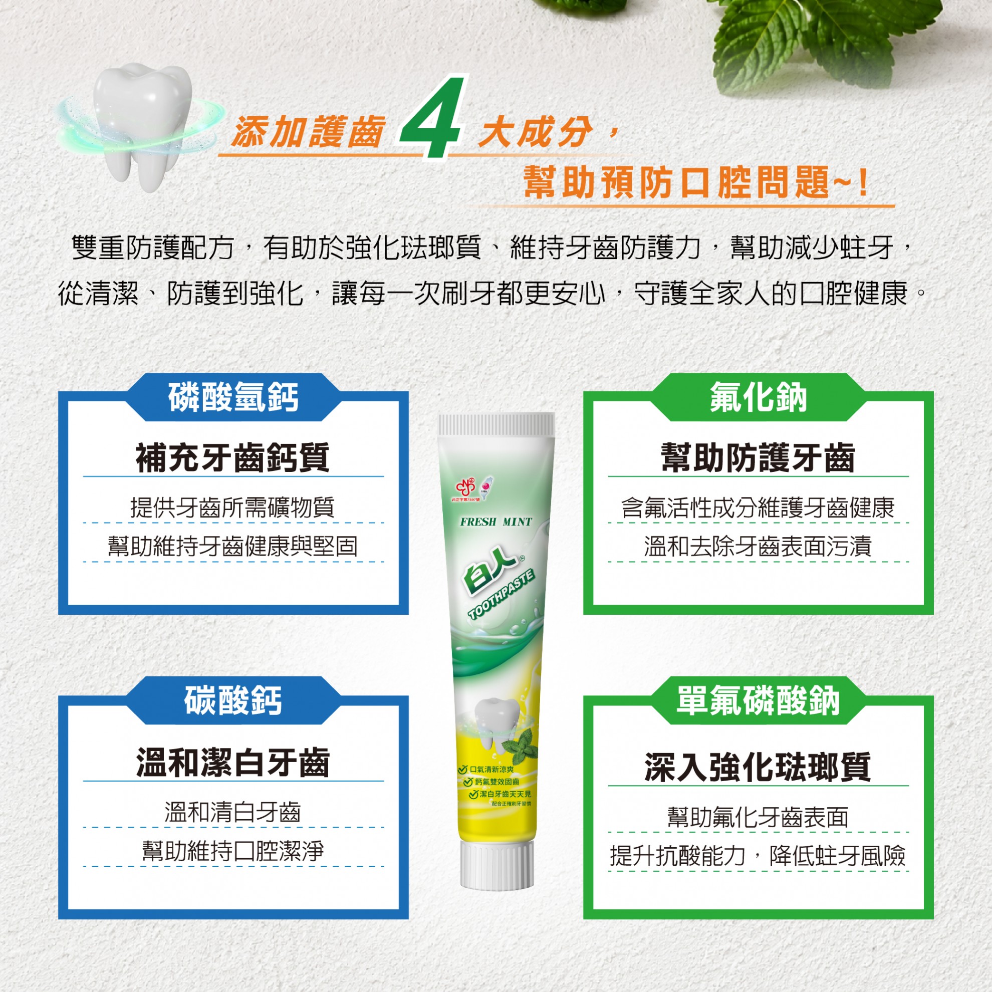 【白人】雙氟鈣牙膏200gX2入