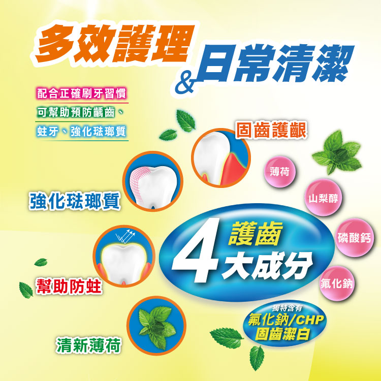 【白人】口腔護理組(牙刷顏色款式隨機出貨)