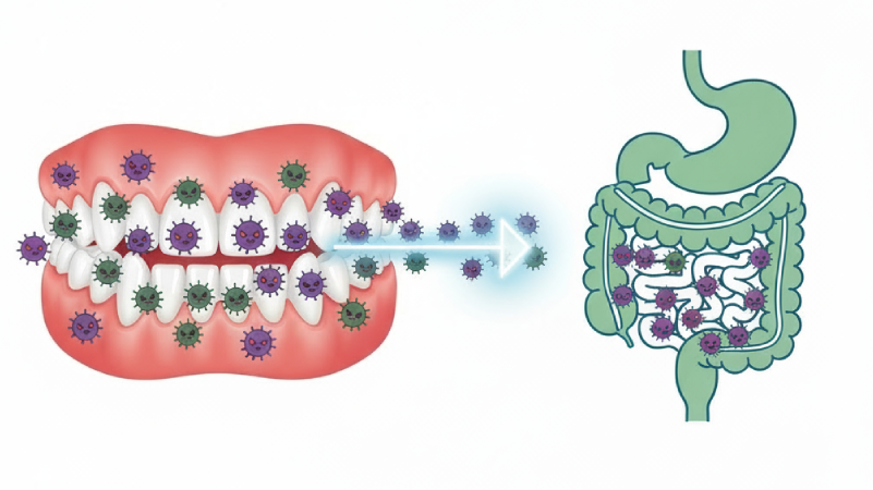 口腔健康與腸道的關聯