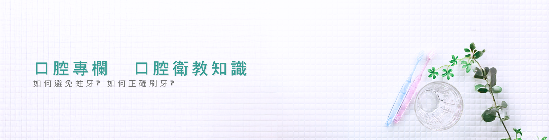 口腔保健知識 口腔保健知識