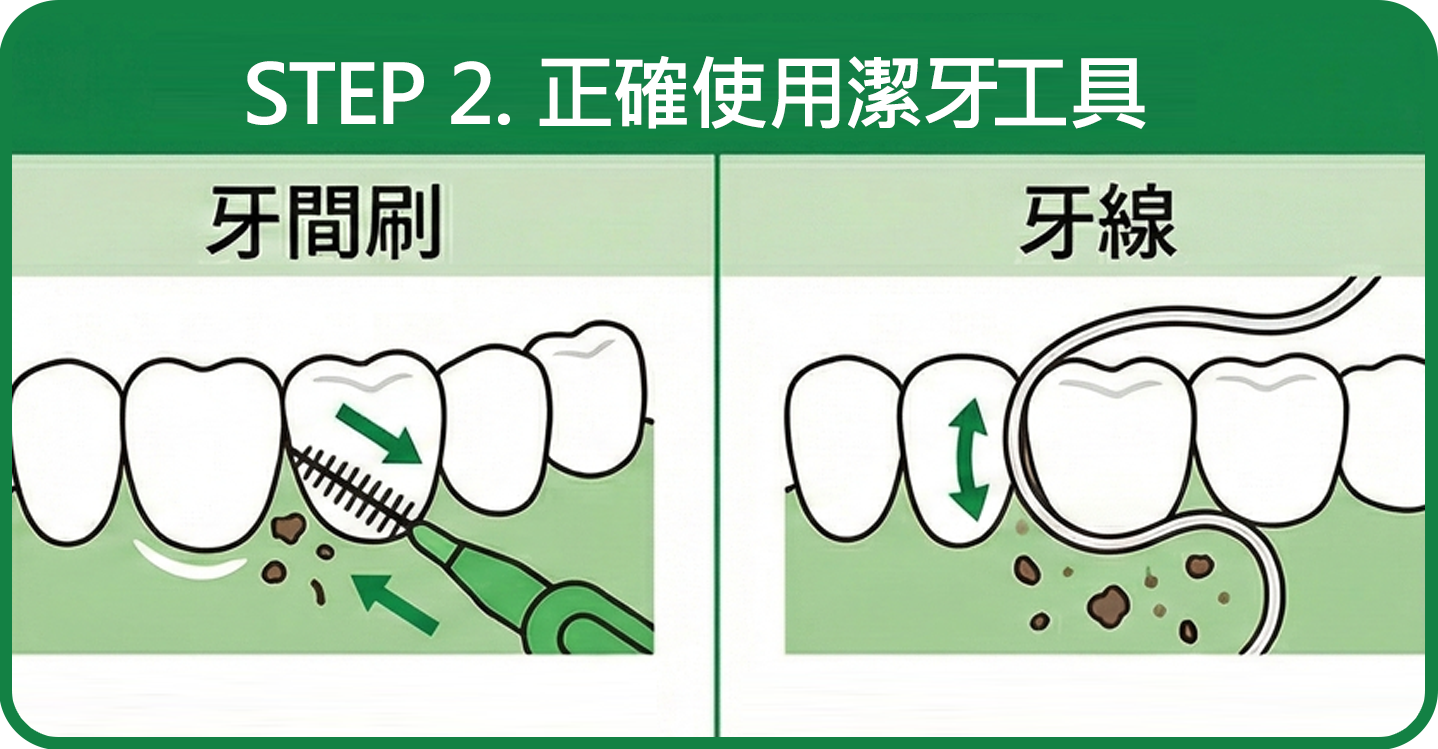 牙線與牙間刷正確操作